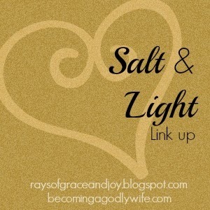 Salt & Light Link up {Rays of Grace & Joy}