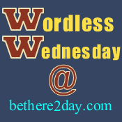 b2d Wordless Wednesday