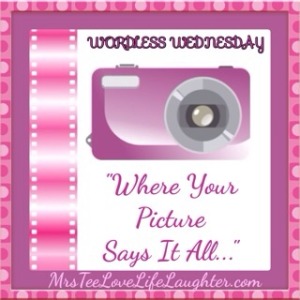 2014 Wordless Wednesday