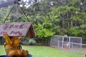 rainy day blues