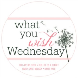 http://www.ourlifeonabudget.com/