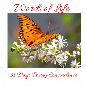 God Planned My Writing Life: A Beautiful Butterfly