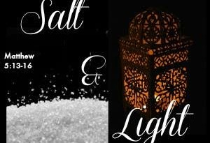 Salt & Light Link up  {Rays of Grace & Joy}