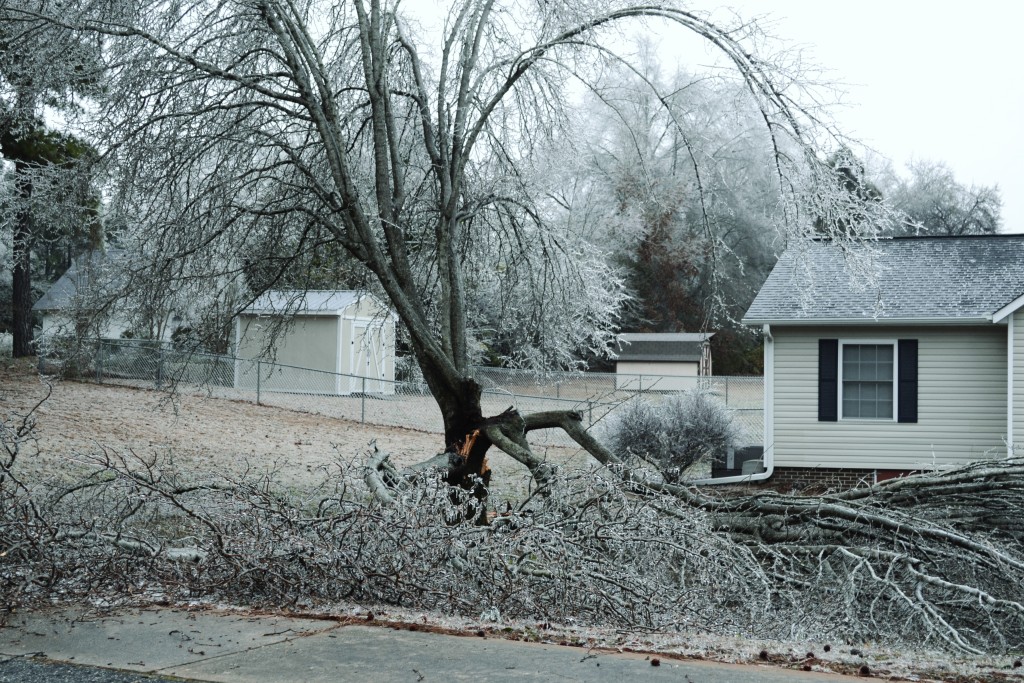 Ice knocks down branches in neighborhoods, causing major power outages Tuesday.