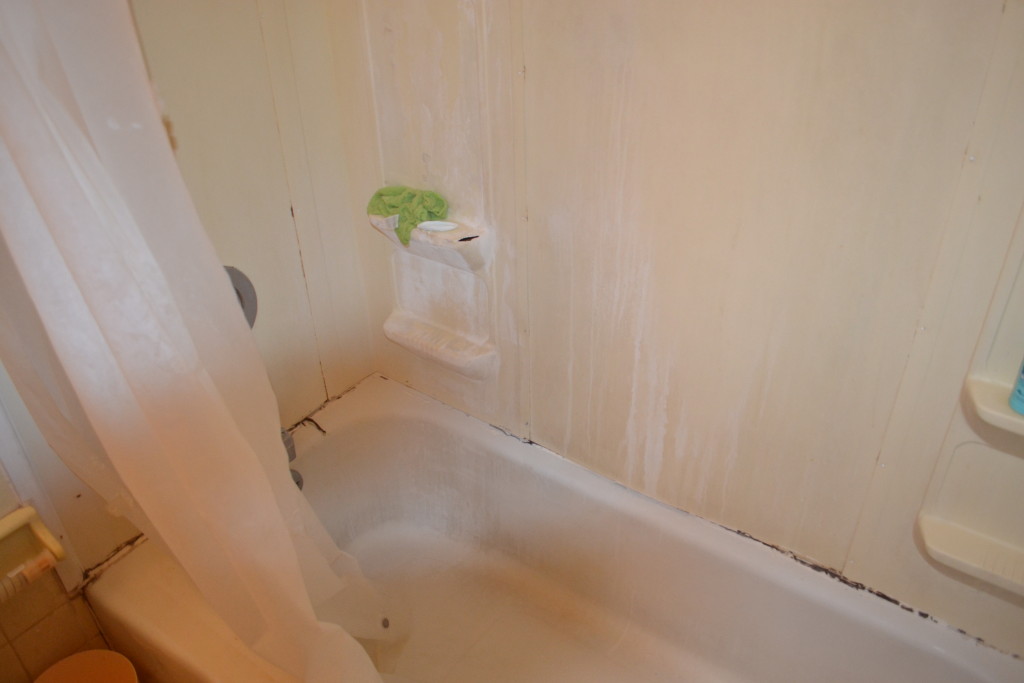 Before Bathroom Renovation