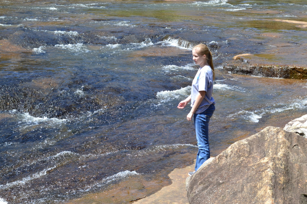 Nature's Beauty in a Stream