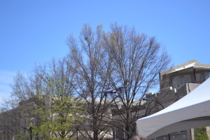 Brilliant Blue Sky