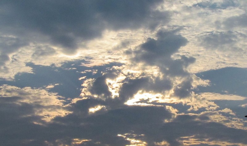 light angel picture