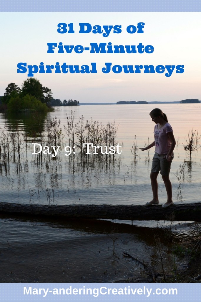 Day 9 Trust