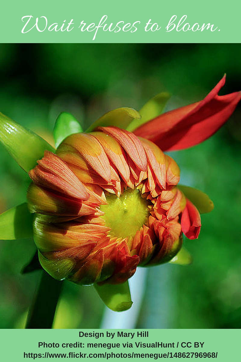 Wait Refuses to Bloom