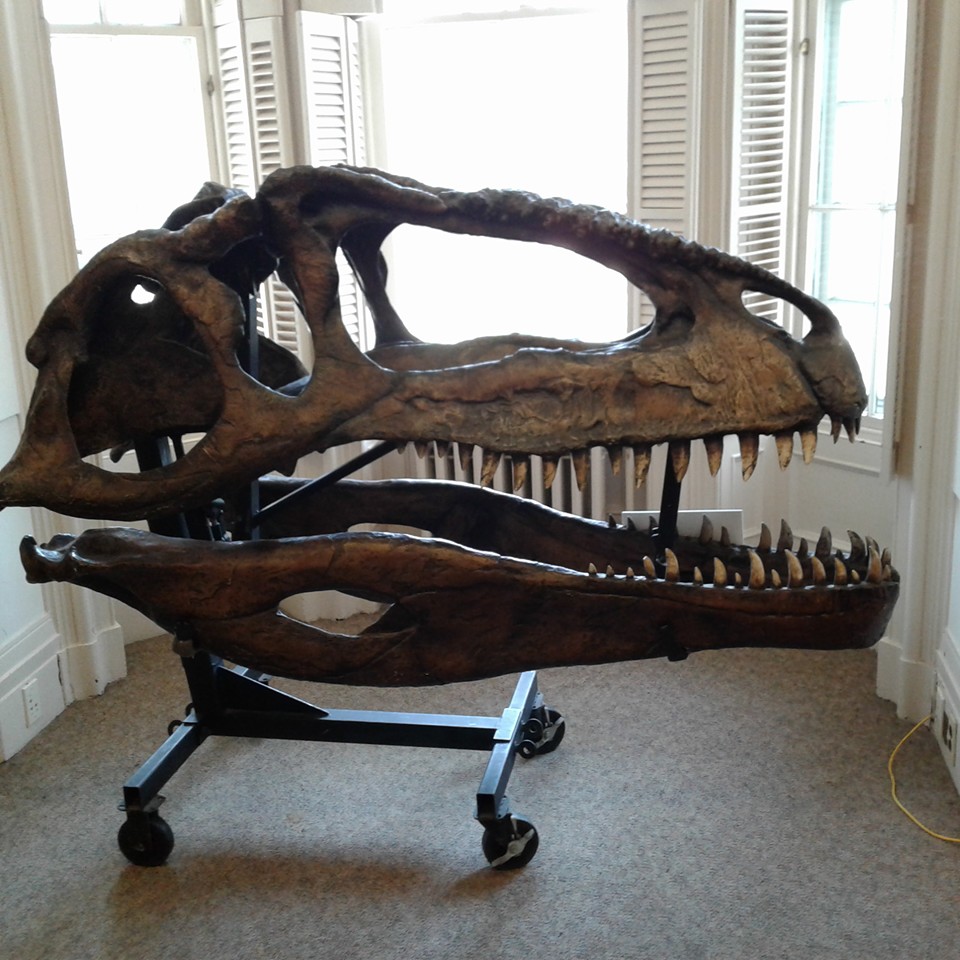 We enjoyed visiting the Highlights Magazine offices. Photo by Mary Hill