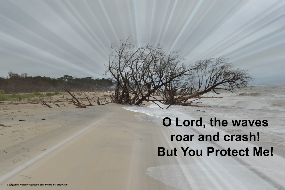 He is my Protector in the Huge Waves of Life